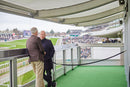 Cheltenham Festival 2025 Long Run Box