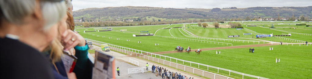 Cheltenham Festival 2025 Long Run Box – FordParsons